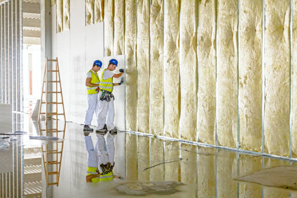 Best Radiant Barrier Insulation  in Santa Fe, TX